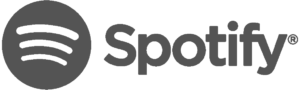 Spotify logo Seostrix.com